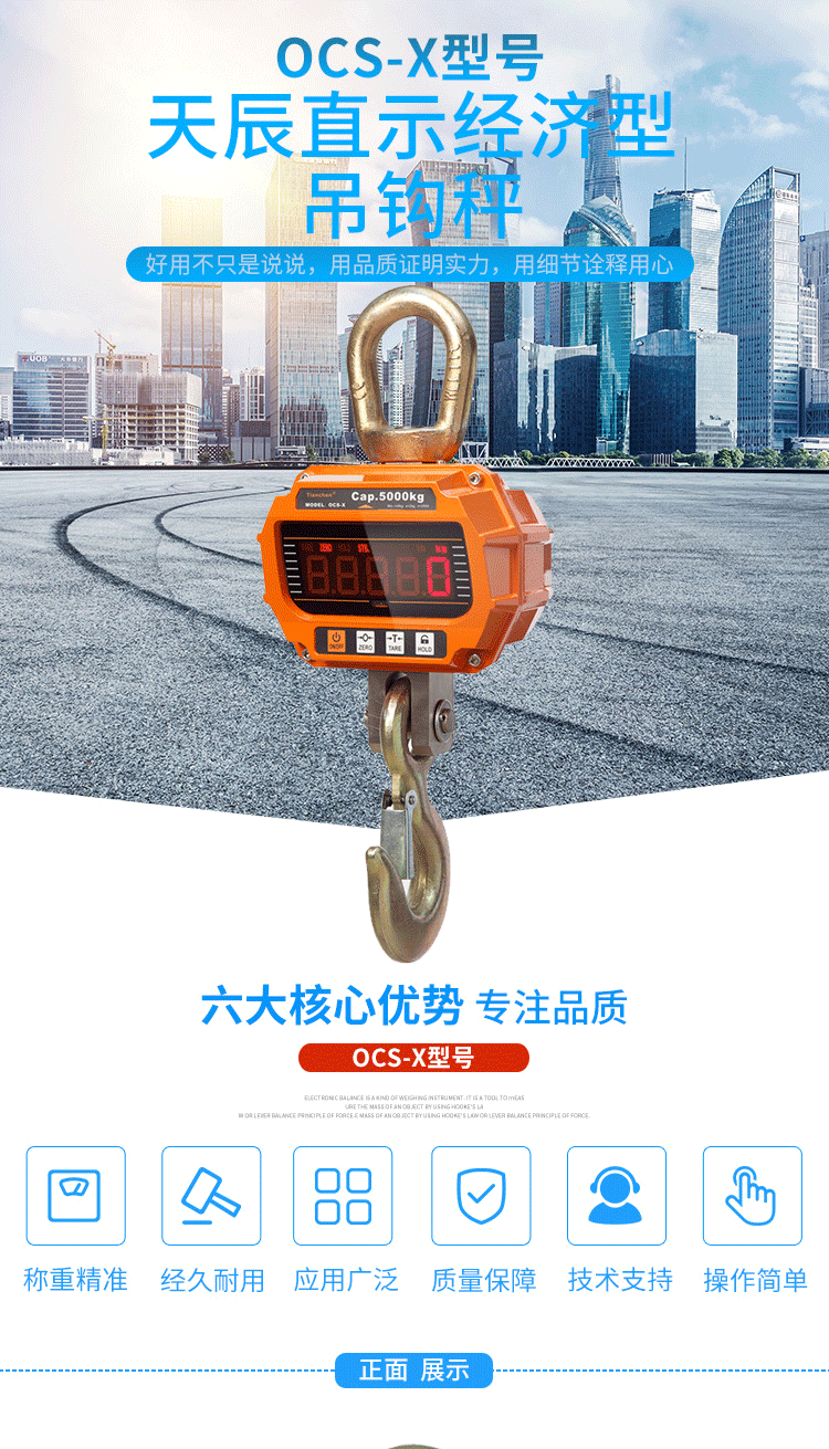 稱(chēng)重顯示控制器_01